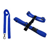 Conjunto Guia E Peitoral H Cão Porte Adestramento Passear Cor Azul Tamanho Da Coleira M