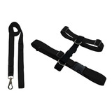 Conjunto Guia E Peitoral H Cão Porte Adestramento Passear Cor Preto Tamanho Da Coleira P