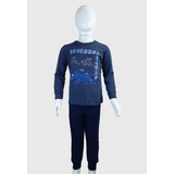 Conjunto Infantil Menino Moletom Desenhossauro Tamanho 2