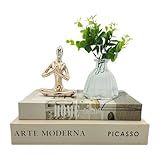 Conjunto Livro Decorativo Luxo Design Moderno Sofisticado