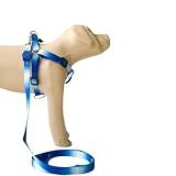 conjunto peitoral coleira cachorros pingente identificacao tamanho ajustavel confortavel resistente