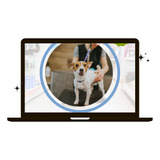 Conteúdo Pet Shop 25 Templates Canva Criativos