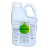 5l