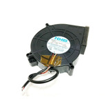 Emp52c