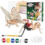 CoolToys Intrepid Insects Paint N