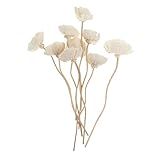 COOPHYA 9 Peças De Difusor Substituível Para Decoração De Flores De Vime Para Aromaterapia Difusor De Cana De Flor Difusor De Hastes De Flor Seca Difusores De Fragrância Ferramentas Refil De