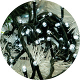 Taschibra