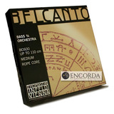 Orquestra