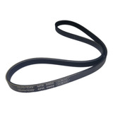 Elastica