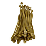 Dourado
