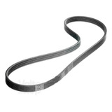 Correia Lavadora Tanquinho Mueller Pop Tank modelo Antigo