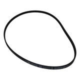 Correia Para Lavadora Tanquinho Mueller Family Original
