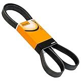 Correia Poly V 5PK1212 Preto Contitech