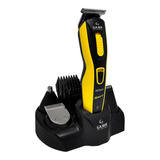 Bivolt