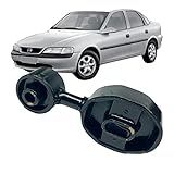 Coxim Haste Articulação Motor Direito Vectra 1997 1998 1999 2000 2001 2002 2003