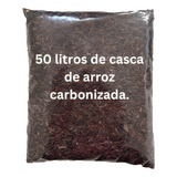 5kg