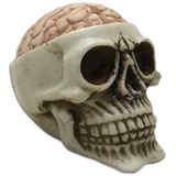 Crânio Caveira Cérebro Estatueta Decorativo Hallowen