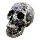 Cranio Caveira Esqueleto Prateado