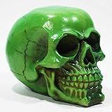 Crânio Caveira Osso Esqueleto Realista Cor Verde Neon Resina