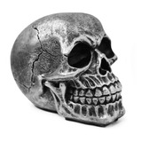 Crânio Caveira Osso Esqueleto Realista Pequeno