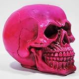 Crânio Caveira Osso Esqueleto Rosa Neon