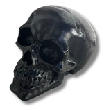 Crânio Esqueleto Caveira Black Skull Preto Decorativo