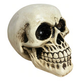 Crânio Esqueleto Caveira Halloween Estatueta Decorativo