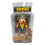 Crash Bandicoot Articulado Action Figure Pronta