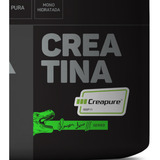 Creatina Pura Selo Creapure 250g Linha Ramon Dino Edição Limitada Sem Sabor Max Titanium