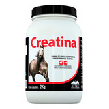 Creatina Vetnil 2kg Suplemento Equinos Cavalo