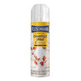 Creme Chantilly Fleischmann Spray 240ml Pronta Entrega