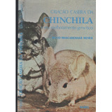 Criação Caseira Da Chinchila