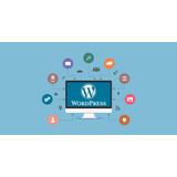 Criação De Sites Profissionais Em Wordpress Plano Cell