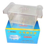 Criadeira Acrilica Ace Pet Pequena Com Ventosas