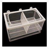 Criadeira Boyu Rede Nb 3202a com Divisoria Cor Branco