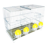 Criadeira Gaiola Zincada Para Aves 4 Comedouros Canário