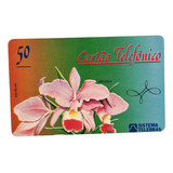 Ct61 Cartao Telebras Orquidea Tdr Nv Desc 5 00 Ver Abaixo