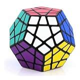 Cubo Mágico Profissional Megaminx Shengshou