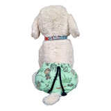 Cães