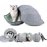 Cute Shell Cat Bed House Indoor