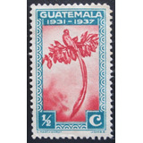 D3117 Guatemala