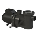Dancor Motobomba 1 3 Cv Para Piscina Pf 17 C Pré Filtro