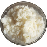 De Leite E Kefir De Água Frete Grátis Com Código E Brinde