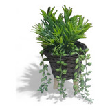 Delicado Terrário Arranjo Planta Mini Suculenta Cacto Folhagem Folha Artificiais
