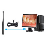 Dentista