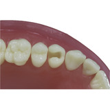Dentistica