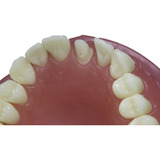 Dentistica