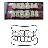 Dentes Resina Avulsos Placa  Postiços  Provisórios  superior