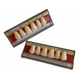 Dentes Resina Restauração Postiços Provisórios A25 Superior