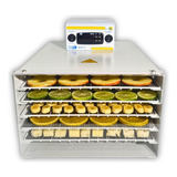 Desidratador De Alimentos Pratic Dryer 220v Digital M042 d
